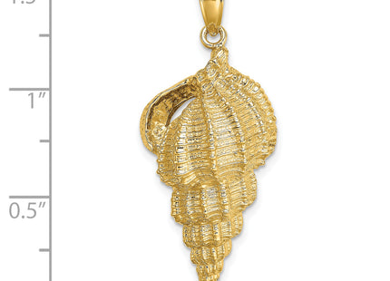 14K Wentletrap Shell Charm, 36 x 16.25mm