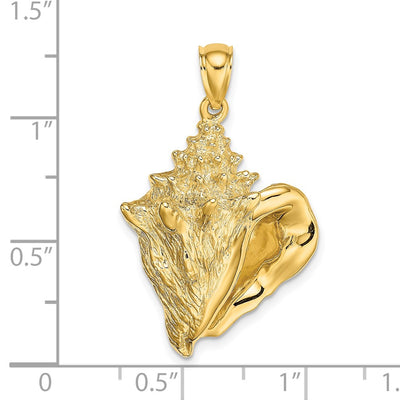 14K Conch Shell Charm, 31 x 21.1mm