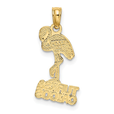14K TURKS AND CAICOS Flamingo Charm