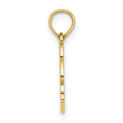 14K Textured NAGS HEAD w/ Dolphin Charm