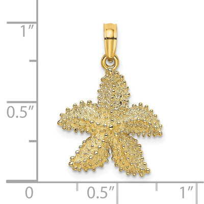 14K Textured Starfish Charm, 24 x 12mm