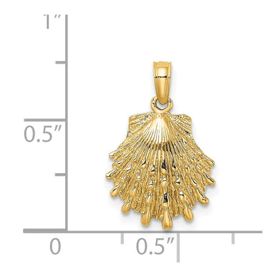 14K Lions Paw Shell Charm, 19 x 13mm