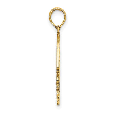 14K Polished CURACAO Under Angelfish Charm
