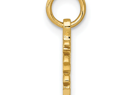 14k Solid Polished Chinese Long Life Charm, 16 x 9mm