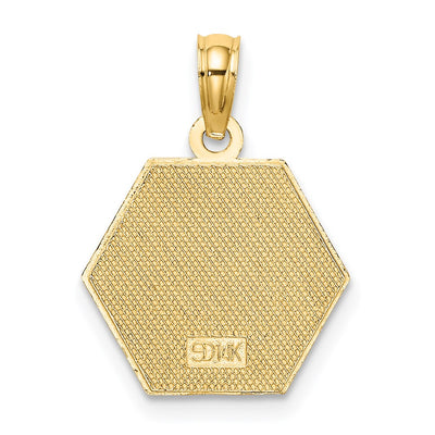 14K Star of Life Medical Charm with Textured Back