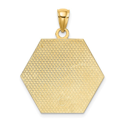 14K Textured Back Caduceus Medical Disc