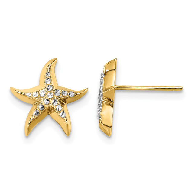 14k w/Rhodium Starfish Post Earrings, 11.9 x 11.9mm