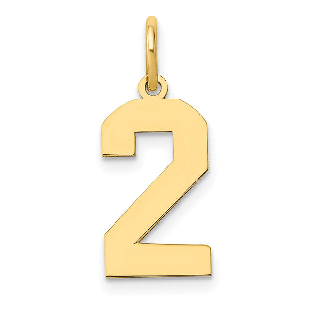 14k Medium Polished Number 2 Charm, 16.13 x 8.21mm