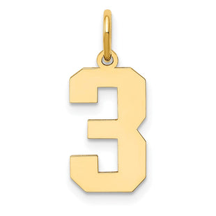 14k Medium Polished Number 3 Charm (Style LM03)