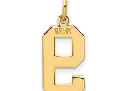 14k Medium Polished Number 9 Charm (Style LM09)