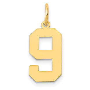 14k Medium Polished Number 9 Charm (Style LM09)