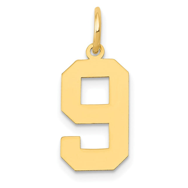 14k Medium Polished Number 9 Charm, 16.13 x 8.18mm