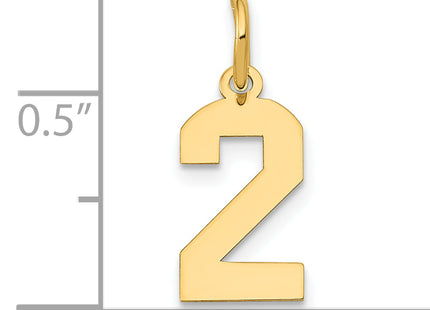 14k Small Polished Number 2 Charm, 14.38 x 6.98mm