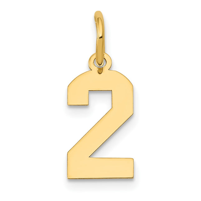 14k Small Polished Number 2 Charm, 14.38 x 6.98mm