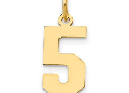 14k Small Polished Number 5 Charm (Style LS05)