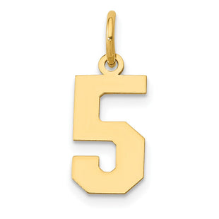 14k Small Polished Number 5 Charm (Style LS05)