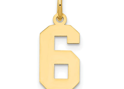 14k Small Polished Number 6 Charm (Style LS06)