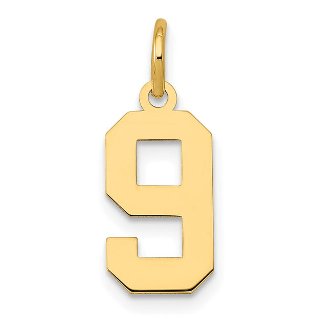 14k Small Polished Number 9 Charm, 14.31 x 7.11mm