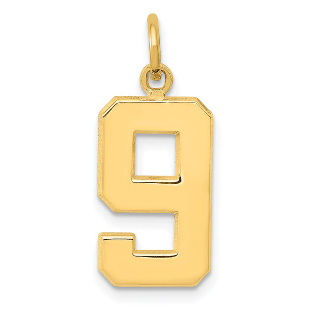 14k Medium Polished Number 9 Charm, 17.78 x 9.77mm