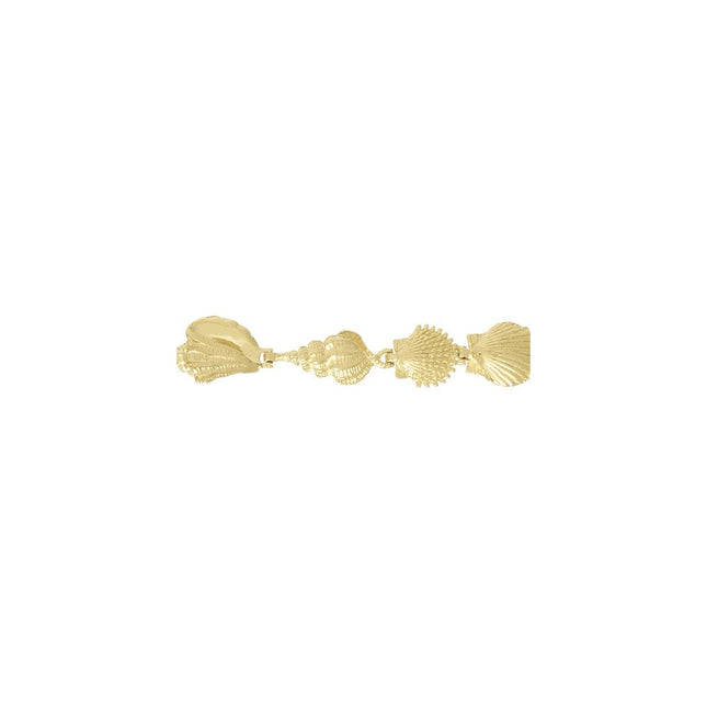 14k Polished Assorted Sea Shells
