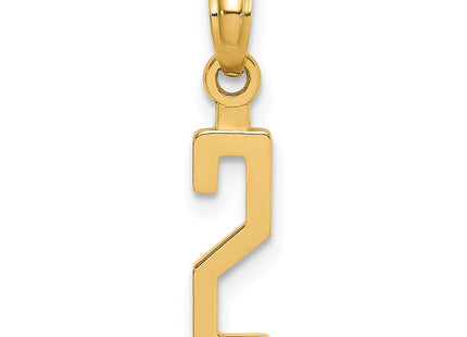 14k Polished Number 2 Pendant (Style NU02)