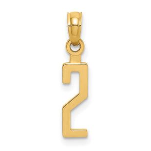 14k Polished Number 2 Pendant (Style NU02)