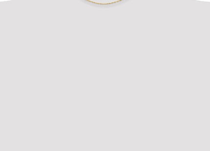 14K Singapore with Spring Ring Clasp Chain (Style PEN9-14)