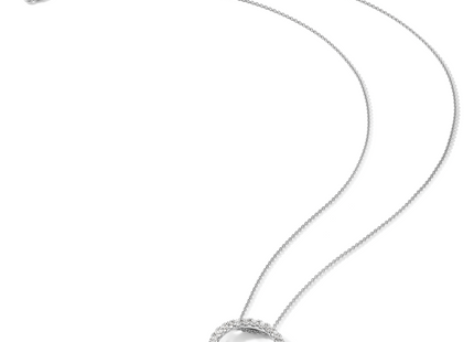 14k White Gold 1 carat Diamond Circle Necklace