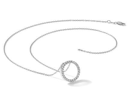 14k White Gold 1 carat Diamond Circle Necklace
