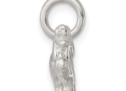 Sterling silver charm, alternate view