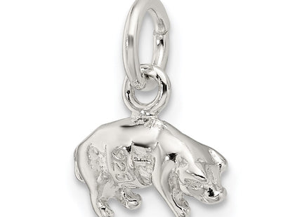 Sterling silver charm, additional view