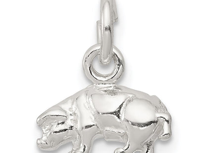 Sterling silver charm