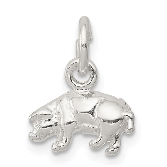 Sterling silver charm