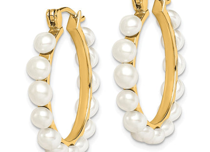 Sterling Silver Earrings Style QE12753GP - Classique Jewelry Inc.