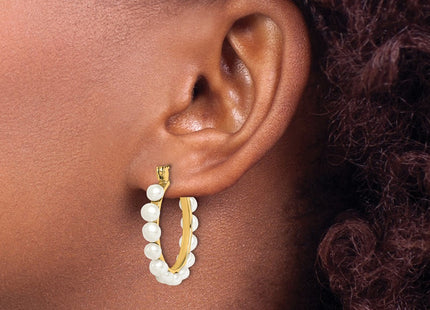 Sterling Silver Earrings Style QE12753GP - Classique Jewelry Inc.