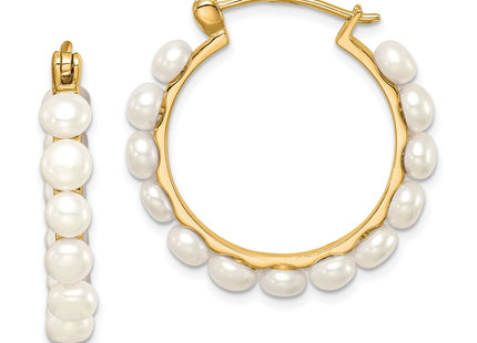 Sterling Silver Earrings Style QE12753GP - Classique Jewelry Inc.