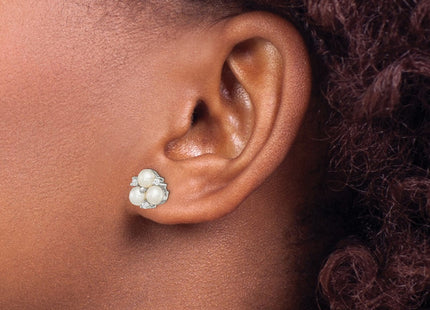 Sterling Silver Earrings Style QE12761 - Classique Jewelry Inc.