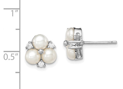 Sterling Silver Earrings Style QE12761 - Classique Jewelry Inc.