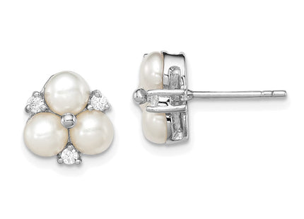 Sterling Silver Earrings Style QE12761 - Classique Jewelry Inc.