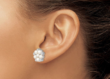 Sterling Silver Earrings Style QE13869 - Classique Jewelry Inc.