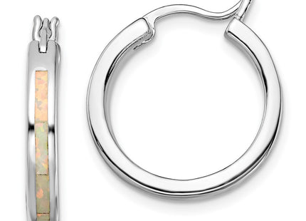 Sterling Silver Earrings Style QE14045 - Classique Jewelry Inc.