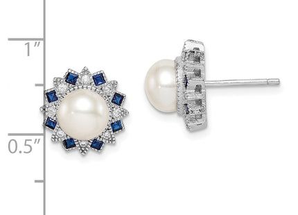 Sterling Silver Earrings Style QE14231 - Classique Jewelry Inc.