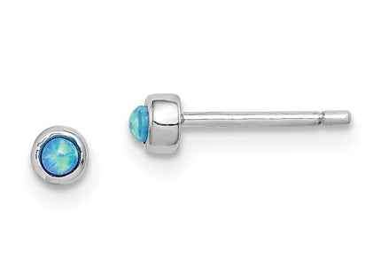 Sterling Silver Earrings Style QE14306 - Classique Jewelry Inc.