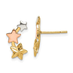 Sterling Silver Earrings Style QE14510 - Classique Jewelry Inc.