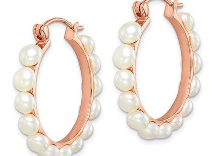 SS/Gold Plated Earrings Style QE14648 - Classique Jewelry Inc.