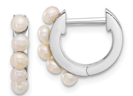 Sterling Silver Earrings Style QE17232 - Classique Jewelry Inc.