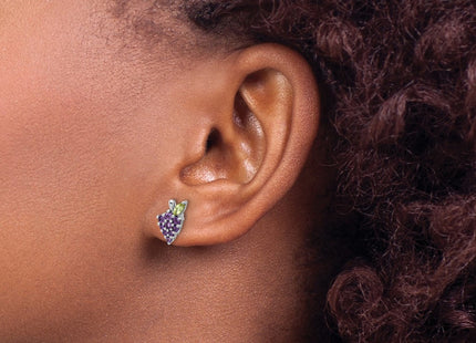 Sterling Silver Earrings Style QE17776AM - Classique Jewelry Inc.