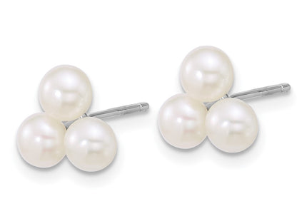 Sterling Silver Earrings Style QE18148 - Classique Jewelry Inc.