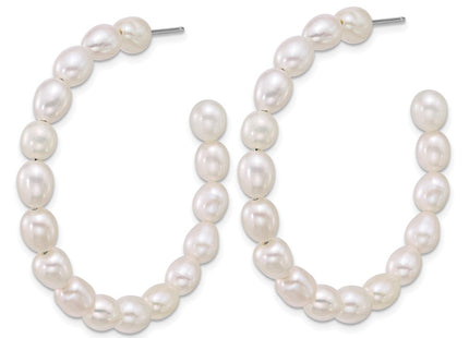 Sterling Silver Earrings Style QE18179 - Classique Jewelry Inc.