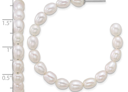 Sterling Silver Earrings Style QE18179 - Classique Jewelry Inc.